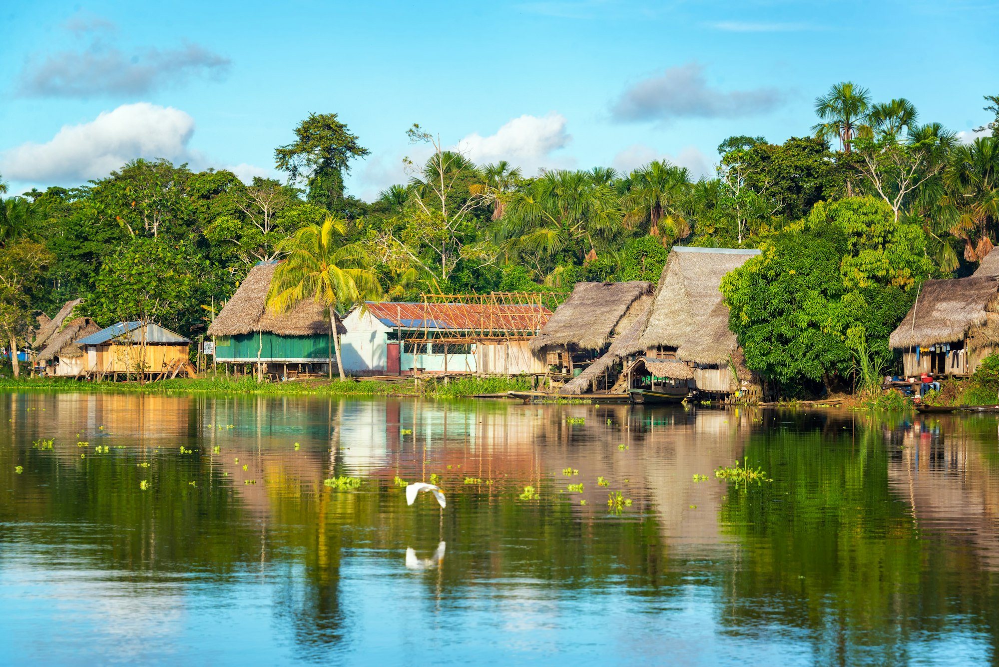Amazon Jungle Village